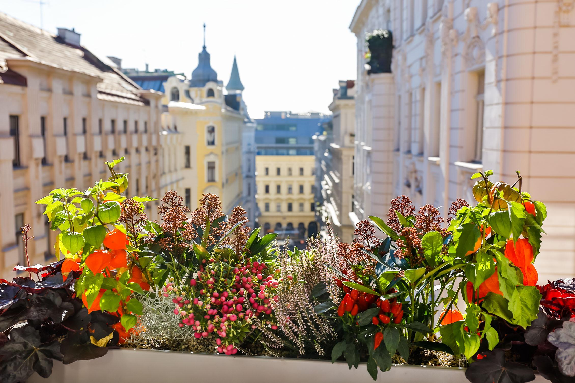 Boutiquehotel Das Tyrol Vienna Exterior photo